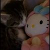 lillyyy3653