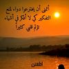 user9499811742975