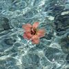 soso_3052010