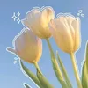 blossomaffiliate