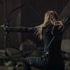 stark3696