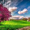 david.smith1385