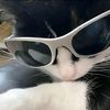 piyaa_luv5