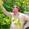 gulshad.khan54