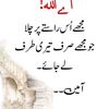 hadii_942