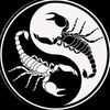 wwskorpion8