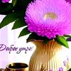 user90344867261781
