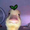 hi_itsme061