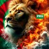 moussa.djamel8