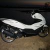 gurril99