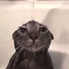 khanhngoc_deptraicuto36
