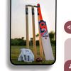 cricket.lover.245