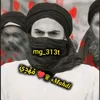 mg_313t
