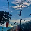 tranngocanh31721