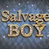 destinysalvage