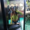 debi.limon
