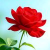 nahid.hassan058