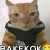 rizky.cakep4