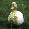 bybymhzkjt7