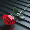 sajjad.zakhmi29