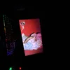 kinderpinguin15