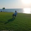 user4284504677869