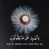 am.al.ameer2