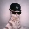 ana.rotinas.asmr