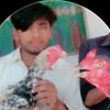 shankhanlangha2