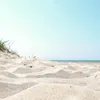 salty_seadog_bythesea