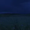 mzh3396