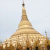 thant.zaw6506