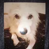 sandra_k070