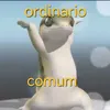 ordinario_comum