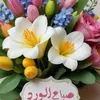 al.bado8