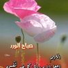 user4721178197662