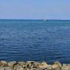 mohamed.el.amine226