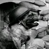 lieutenantgreek