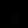 .ahmed.fares3
