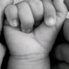 prense_290