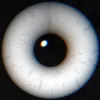 sireyeguy