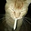 lma00bye