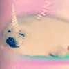 polarbearstarecare