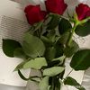 haneen.elbasuoniy