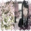 popp567800