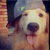 doogkl