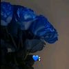 user36704570003