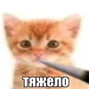 fizmor4