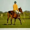 lolopolo9677