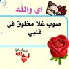 user5206000543634
